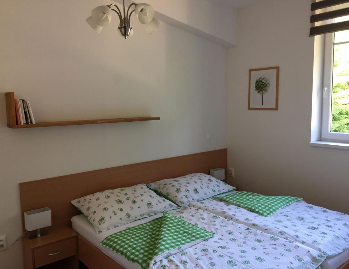 Apartman U Sjezdovky Velké Karlovice Zewnętrze zdjęcie